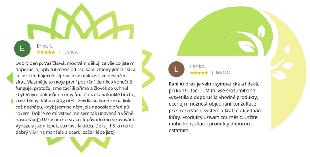 Hodnocení diagnostika 3